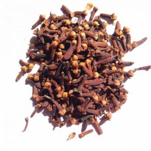 CLOVES
